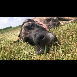 Meet your Posher, Austin